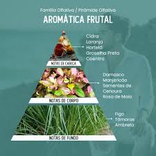 Pirâmide Olfativa (Perfume Inspirado)